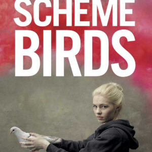 Scheme Birds