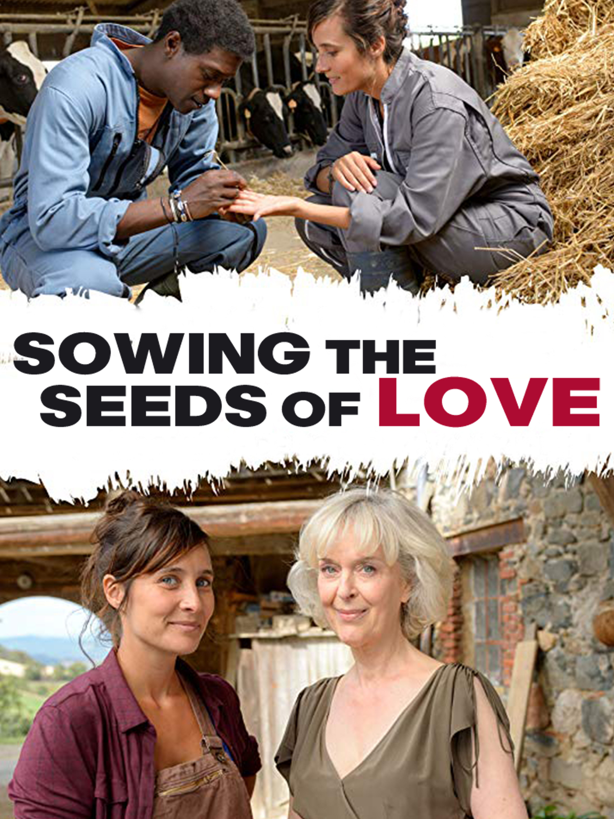 Sowing The Seeds Of Love