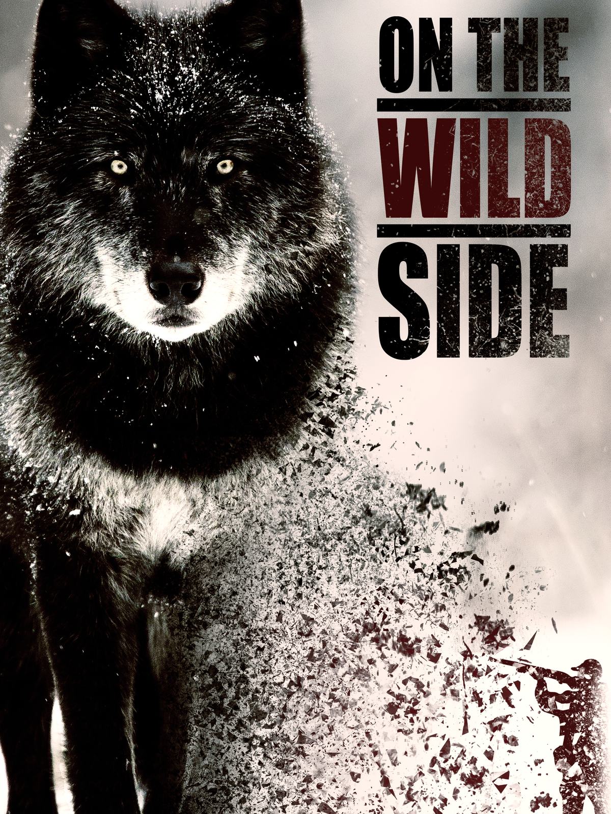 On The Wild Side