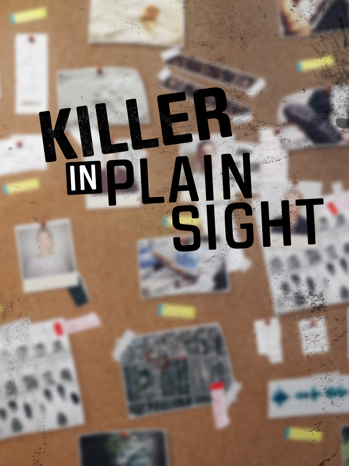 Killer In Plain Sight (Season 1)