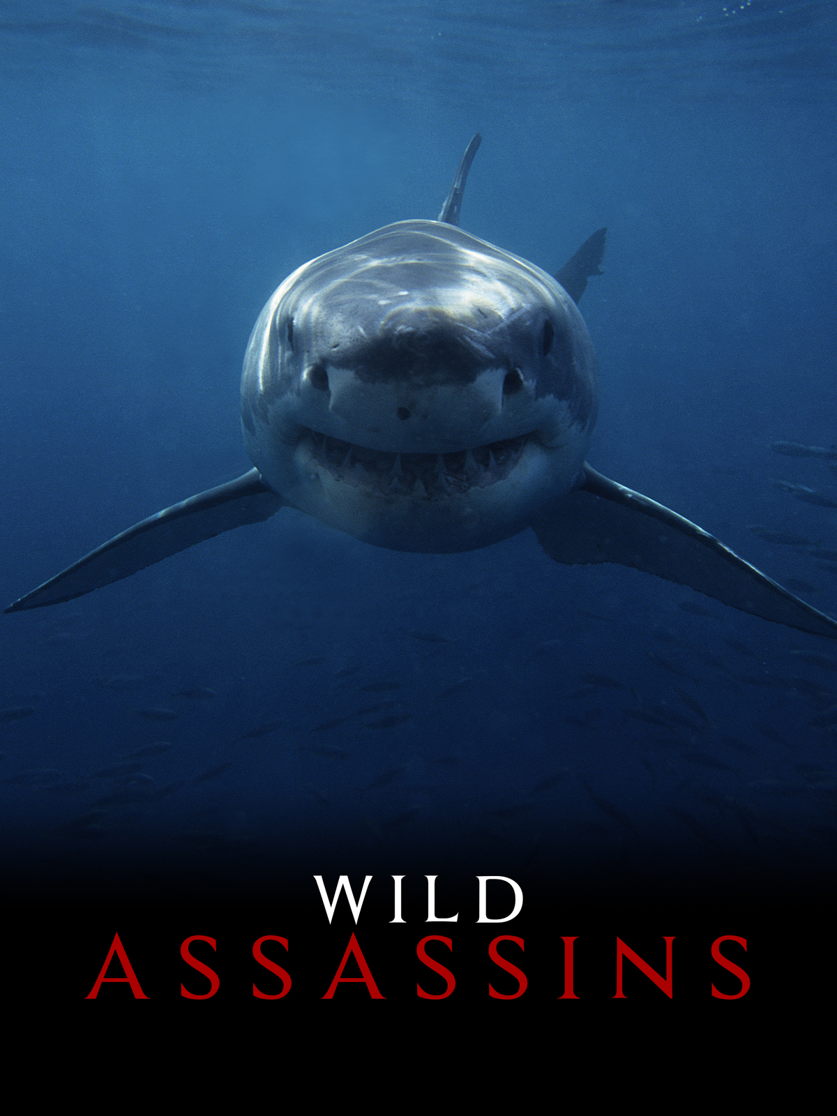 Wild Assassins (Season 1)