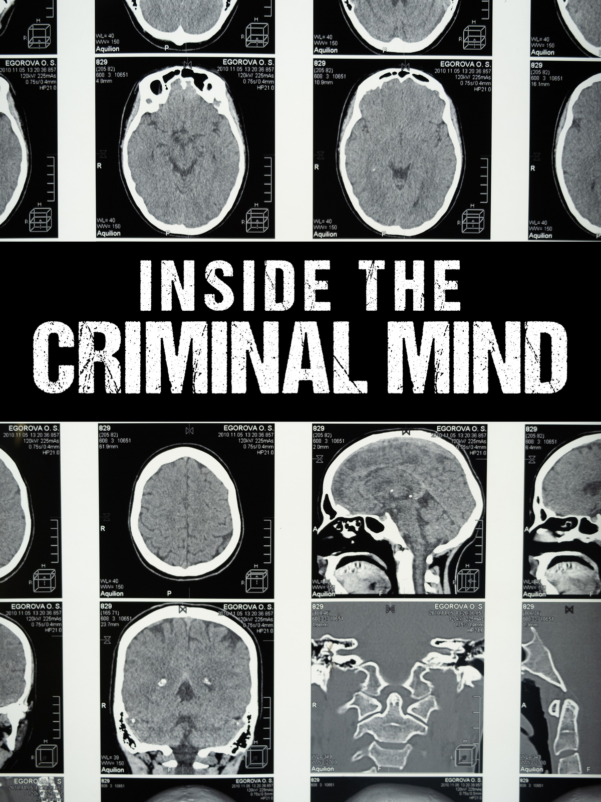 Inside The Criminal Mind (Season 1)