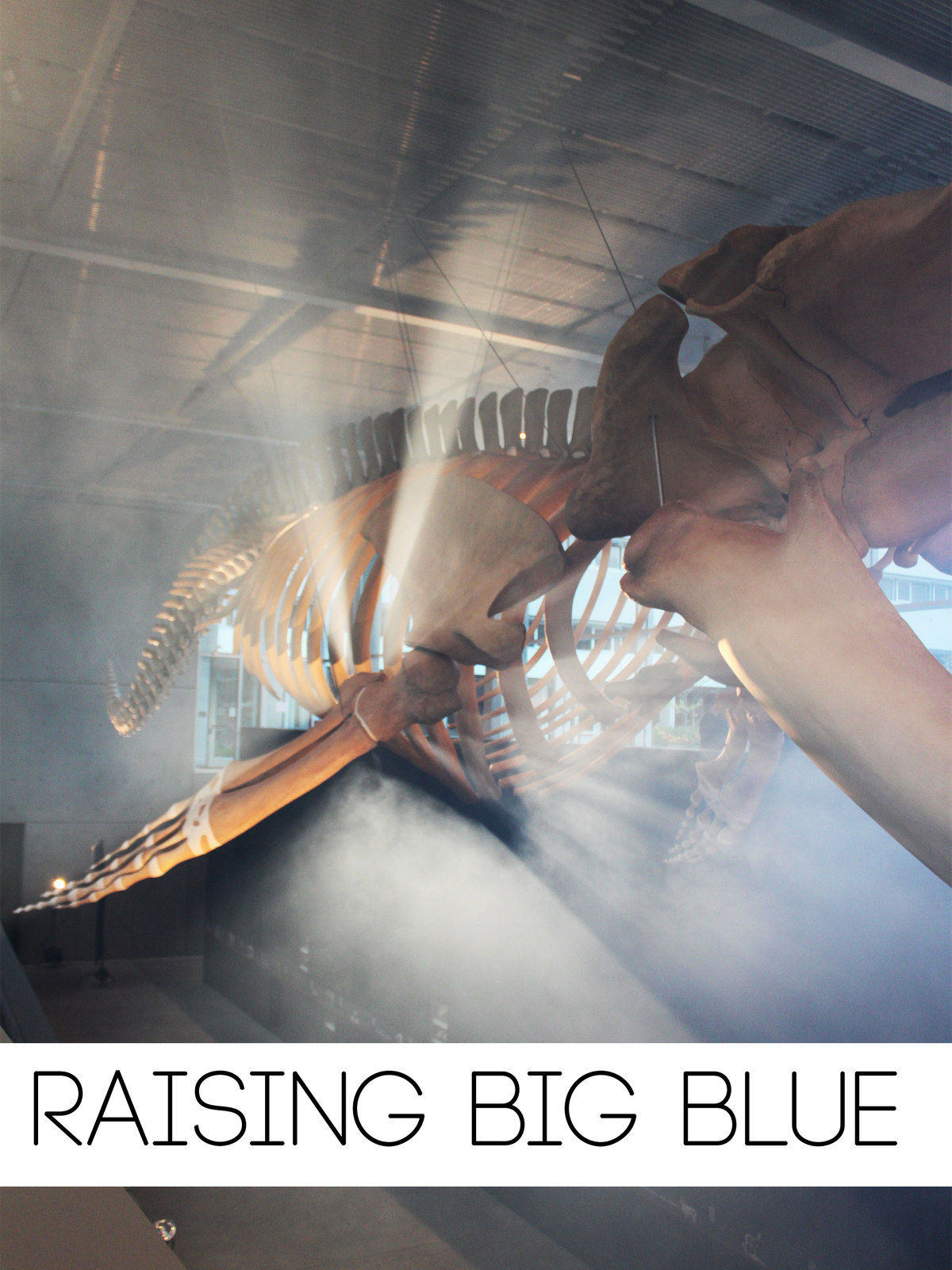 Raising Big Blue