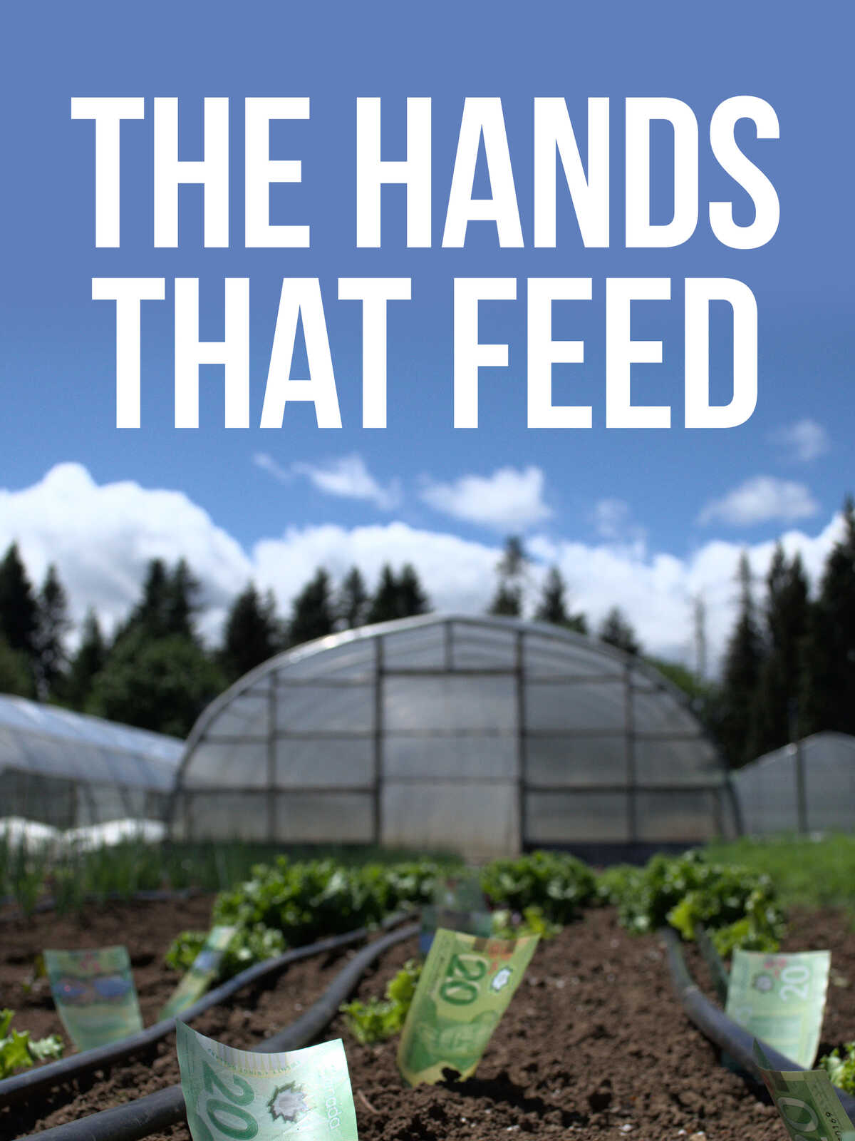 The Hands That Feed Us