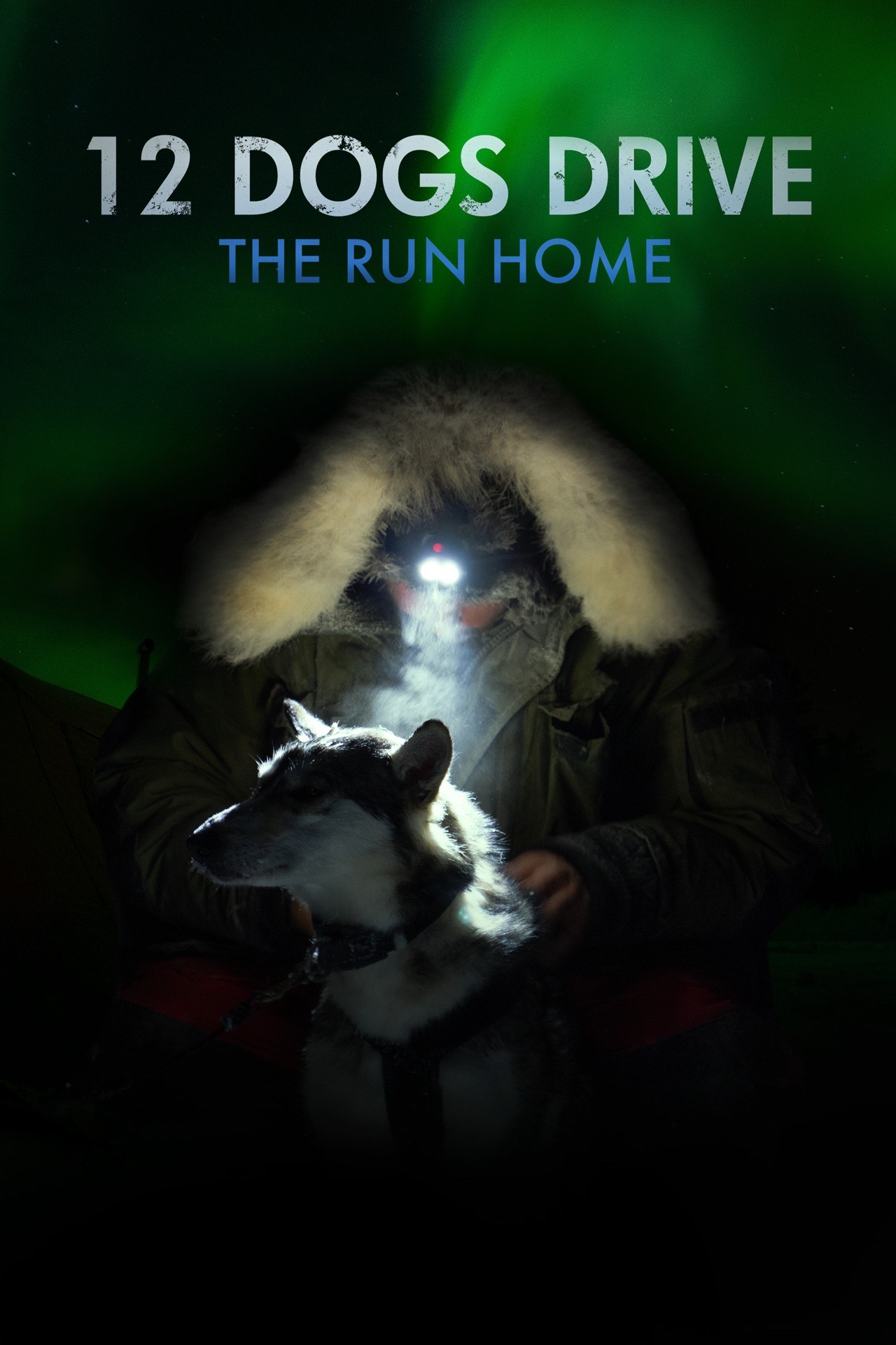 12 Dogs Drive