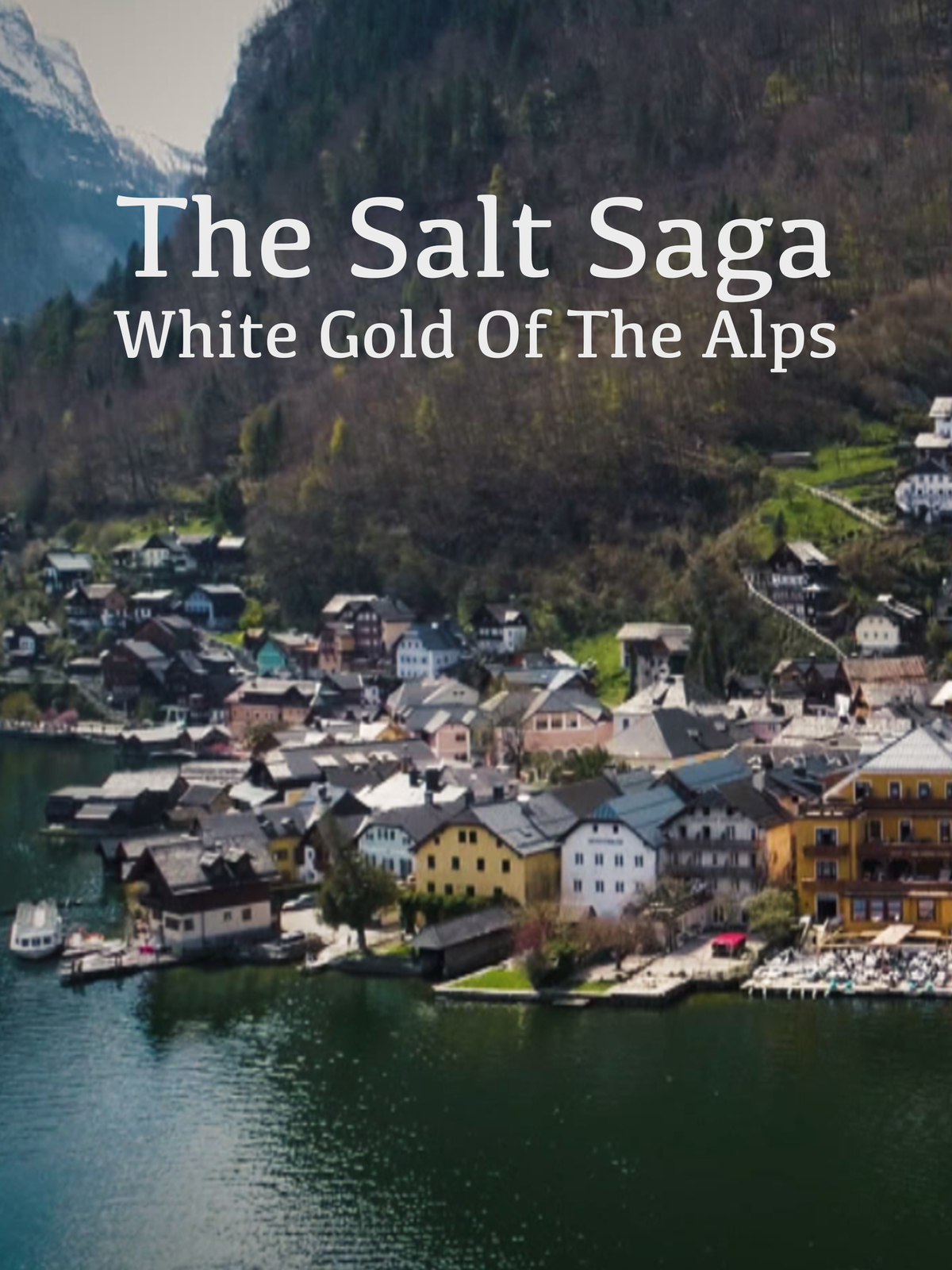 The Salt Saga - White Gold Of The Alps
