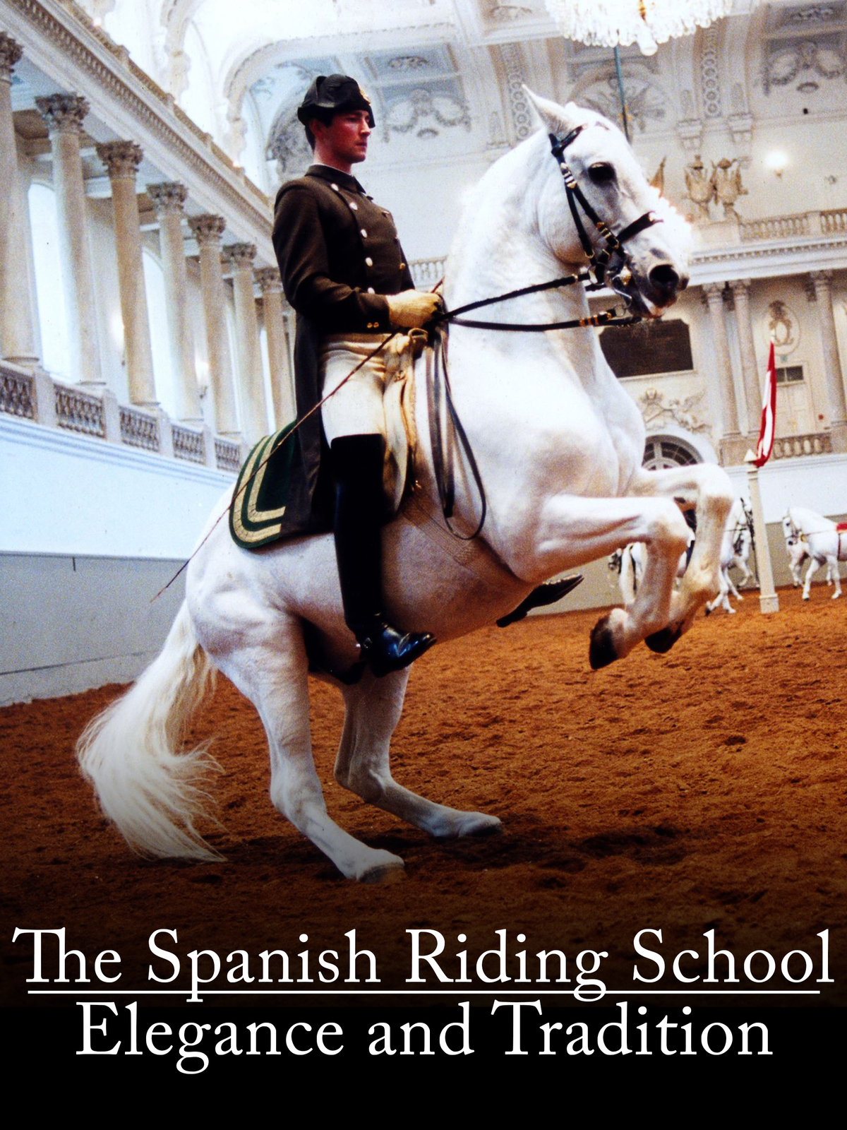 The Spanish Riding School – Elegance and Tradition
